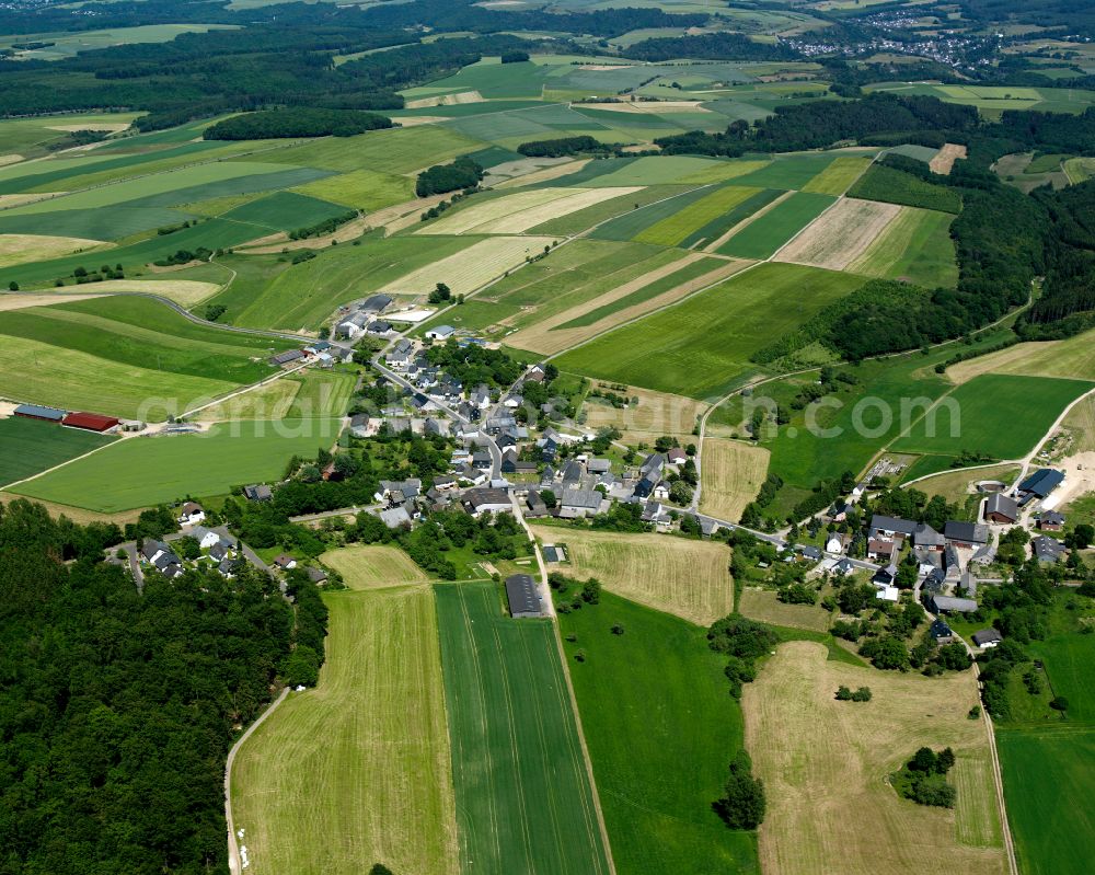 Rohrbach from above - Agricultural land and field boundaries surround the settlement area of the village in Rohrbach in the state Rhineland-Palatinate, Germany