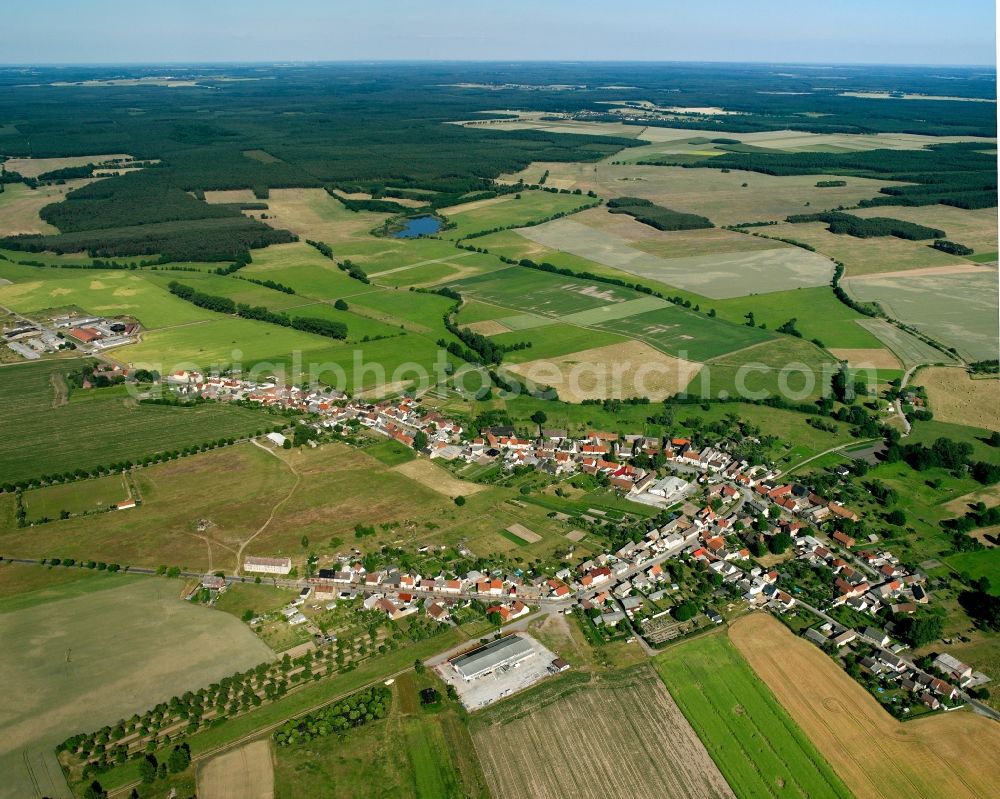 Rosian from above - Agricultural land and field boundaries surround the settlement area of the village in Rosian in the state Saxony-Anhalt, Germany