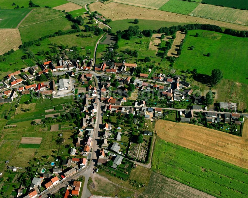 Rosian from the bird's eye view: Agricultural land and field boundaries surround the settlement area of the village in Rosian in the state Saxony-Anhalt, Germany