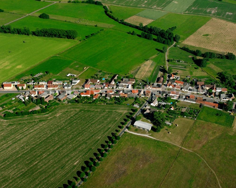 Aerial image Rosian - Agricultural land and field boundaries surround the settlement area of the village in Rosian in the state Saxony-Anhalt, Germany