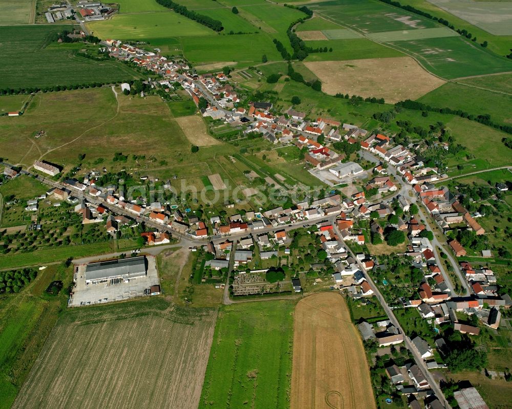 Aerial photograph Rosian - Agricultural land and field boundaries surround the settlement area of the village in Rosian in the state Saxony-Anhalt, Germany