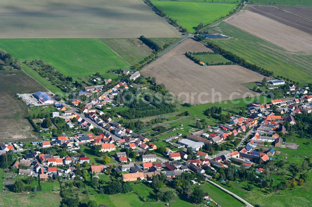 Rosian from above - Agricultural land and field boundaries surround the settlement area of the village in Rosian in the state Saxony-Anhalt, Germany