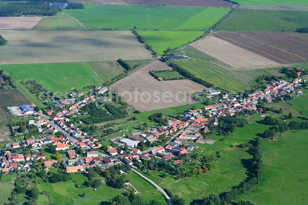 Rosian from the bird's eye view: Agricultural land and field boundaries surround the settlement area of the village in Rosian in the state Saxony-Anhalt, Germany