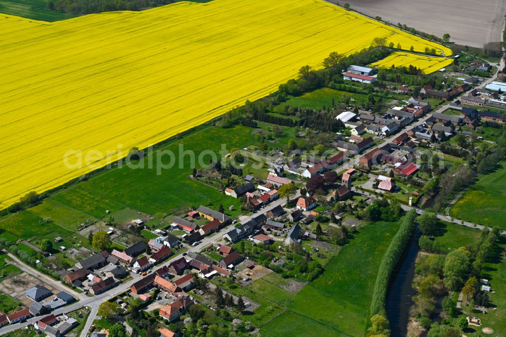 Rossau from the bird's eye view: Agricultural land and field boundaries surround the settlement area of the village in Rossau in the state Saxony-Anhalt, Germany