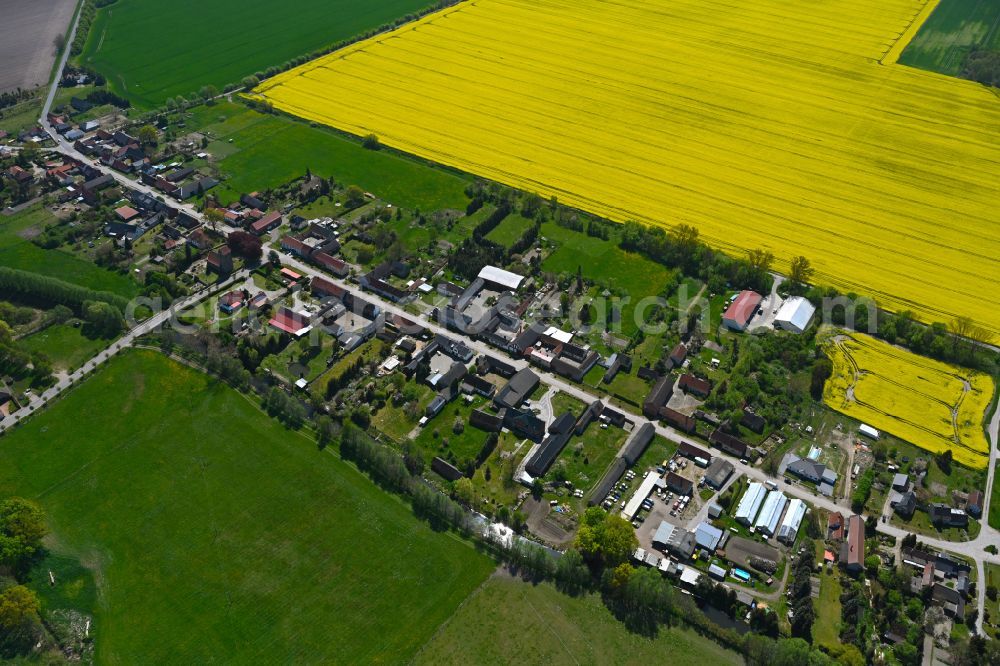 Aerial photograph Rossau - Agricultural land and field boundaries surround the settlement area of the village in Rossau in the state Saxony-Anhalt, Germany