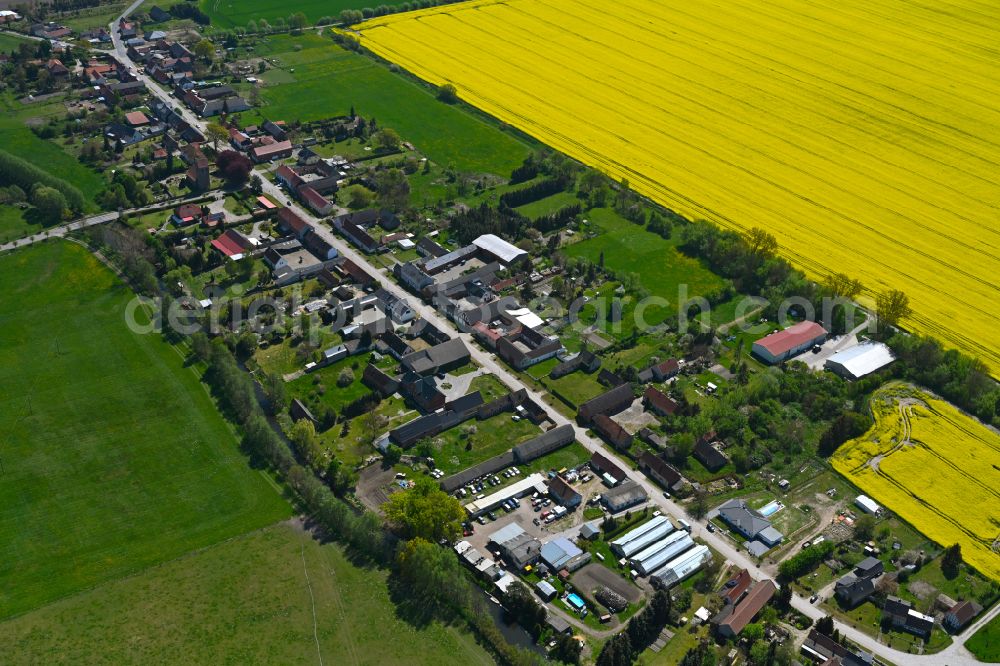 Rossau from above - Agricultural land and field boundaries surround the settlement area of the village in Rossau in the state Saxony-Anhalt, Germany