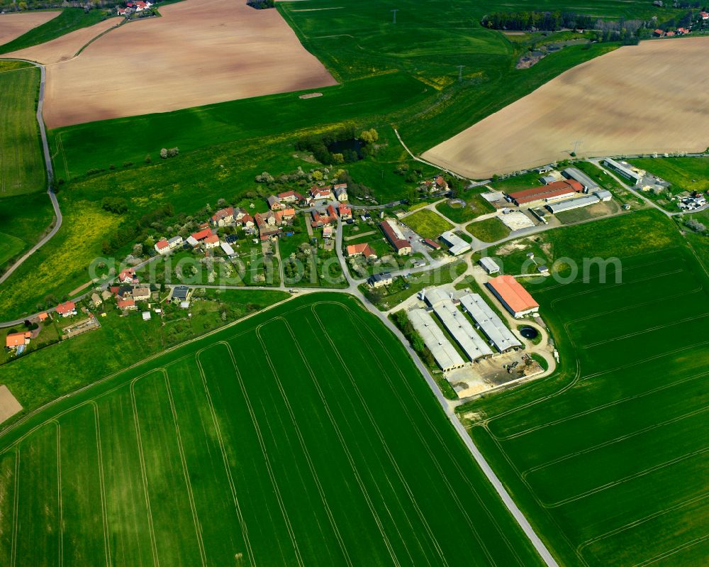 Aerial image Rothenbach - Agricultural land and field boundaries surround the settlement area of the village in Rothenbach in the state Thuringia, Germany