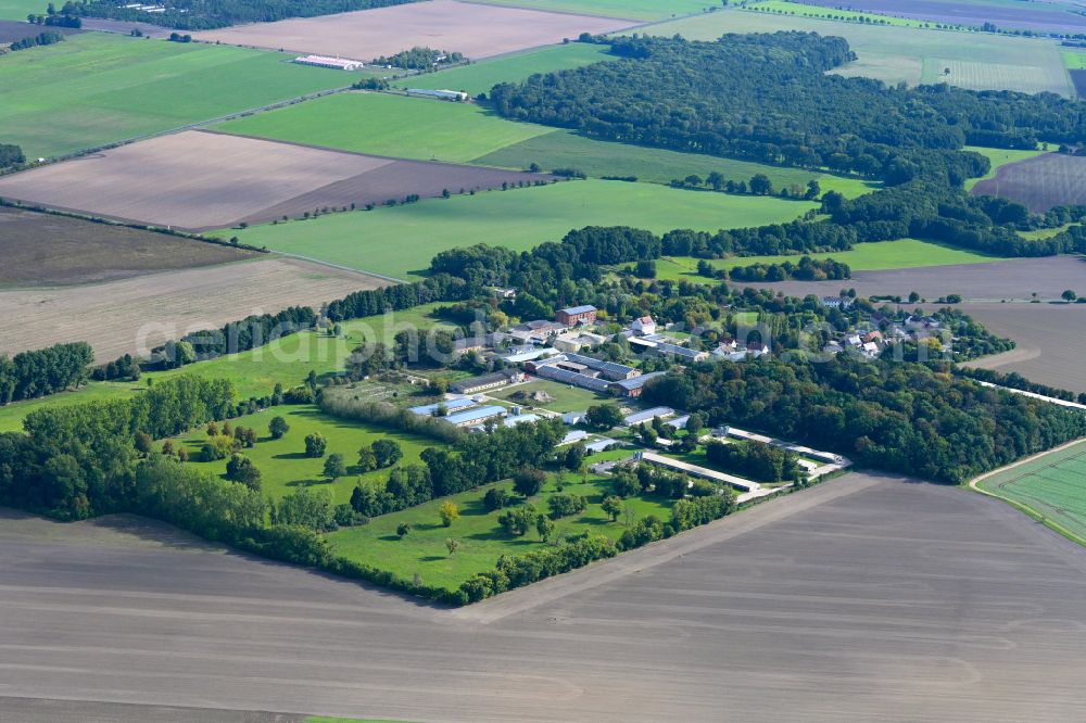 Rottenau from above - Agricultural land and field boundaries surround the settlement area of the village in Rottenau in the state Saxony-Anhalt, Germany