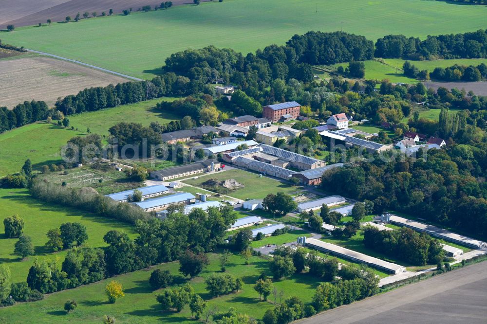 Rottenau from the bird's eye view: Agricultural land and field boundaries surround the settlement area of the village in Rottenau in the state Saxony-Anhalt, Germany