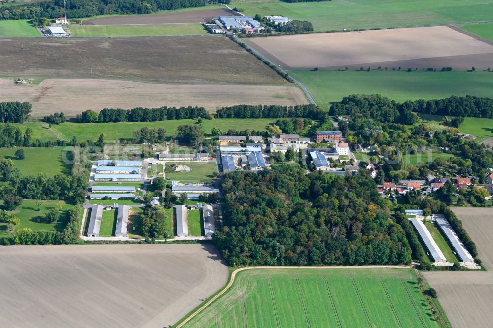 Aerial image Rottenau - Agricultural land and field boundaries surround the settlement area of the village in Rottenau in the state Saxony-Anhalt, Germany