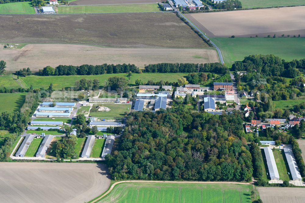 Aerial photograph Rottenau - Agricultural land and field boundaries surround the settlement area of the village in Rottenau in the state Saxony-Anhalt, Germany