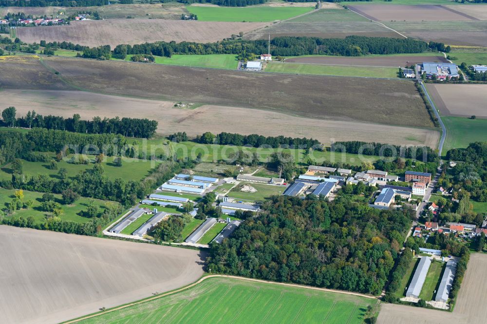 Rottenau from above - Agricultural land and field boundaries surround the settlement area of the village in Rottenau in the state Saxony-Anhalt, Germany