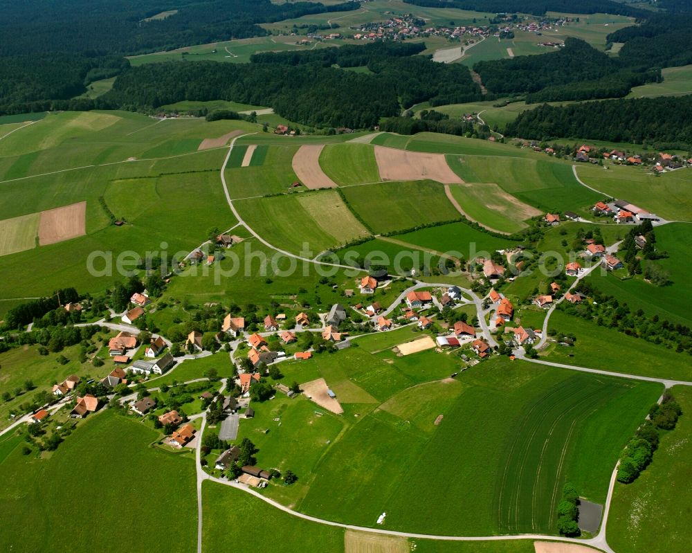 Aerial photograph Rotzingen - Agricultural land and field boundaries surround the settlement area of the village in Rotzingen in the state Baden-Wuerttemberg, Germany