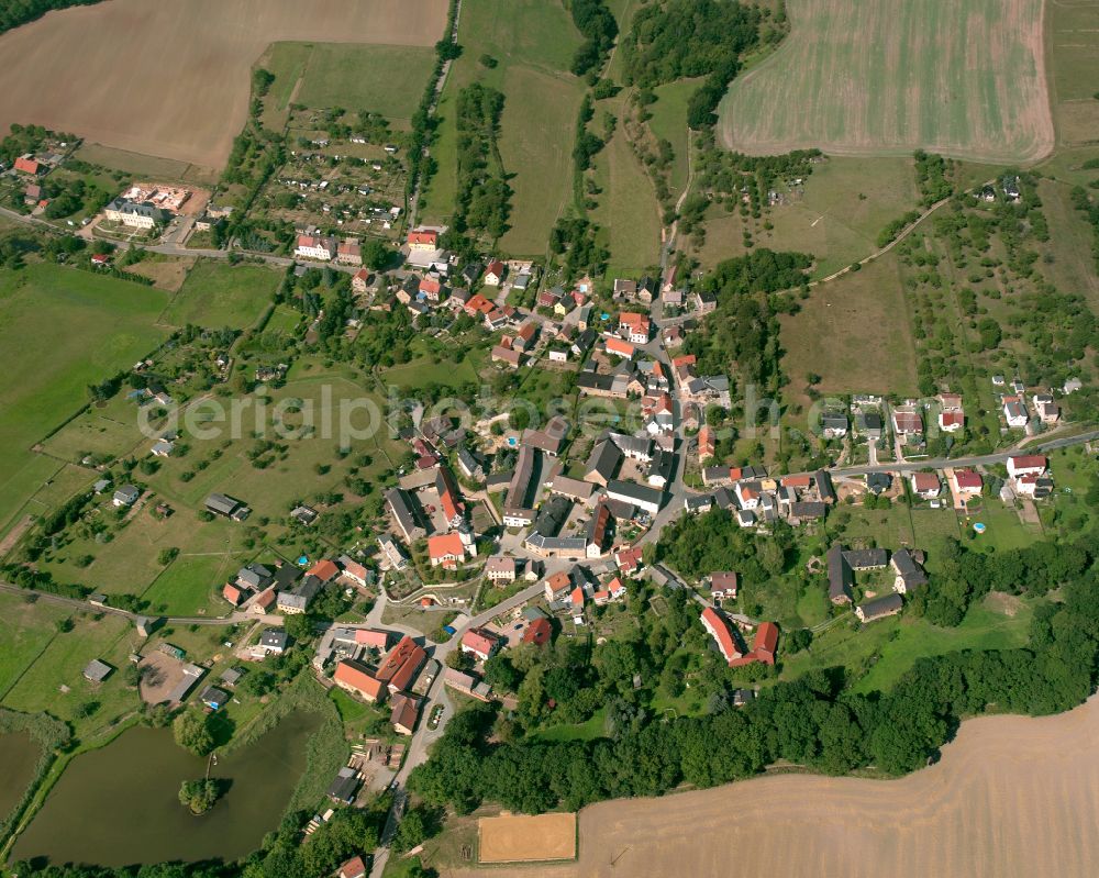 Röpsen from the bird's eye view: Agricultural land and field boundaries surround the settlement area of the village in Röpsen in the state Thuringia, Germany