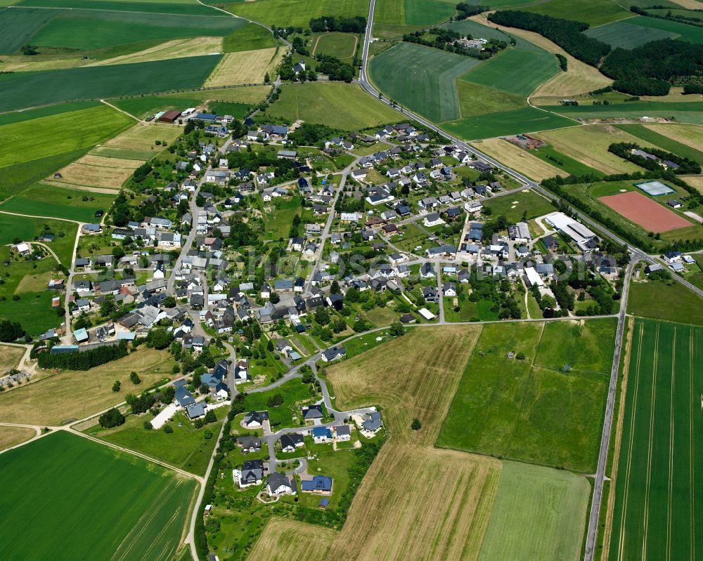 Sargenroth from the bird's eye view: Agricultural land and field boundaries surround the settlement area of the village in Sargenroth in the state Rhineland-Palatinate, Germany