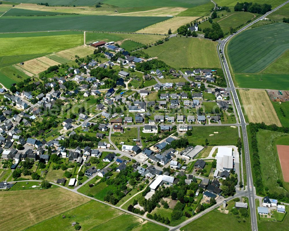 Aerial image Sargenroth - Agricultural land and field boundaries surround the settlement area of the village in Sargenroth in the state Rhineland-Palatinate, Germany