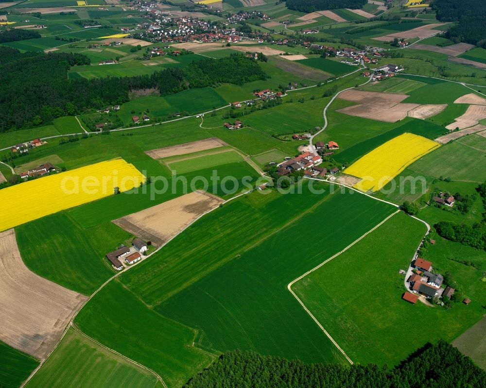 Aerial photograph Sarzen - Agricultural land and field boundaries surround the settlement area of the village in Sarzen in the state Bavaria, Germany