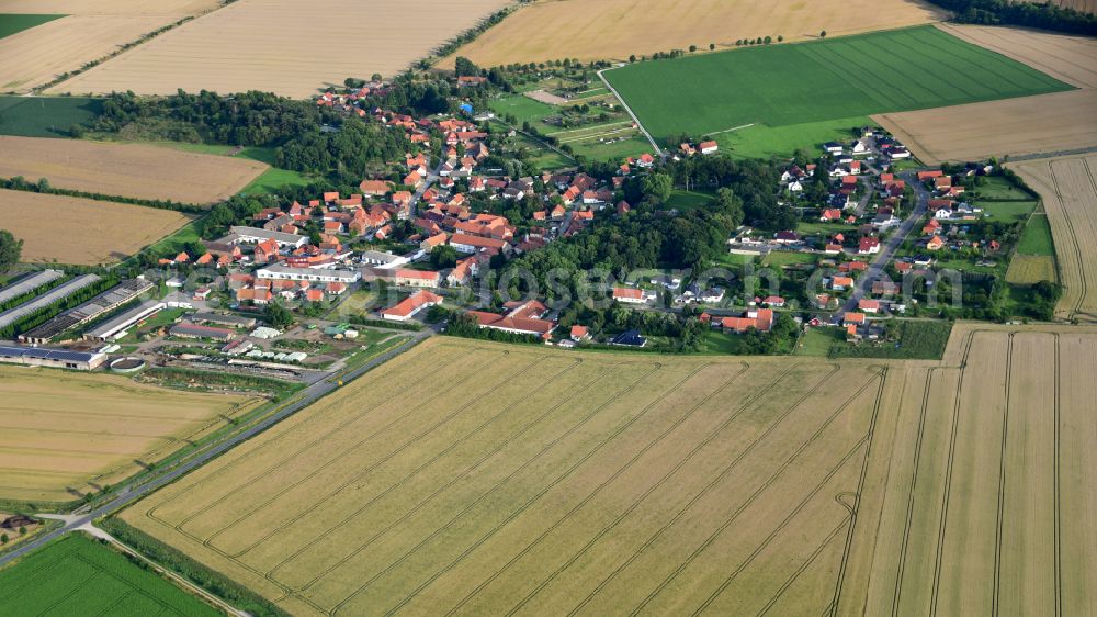 Aerial photograph Schauen - Agricultural land and field boundaries surround the settlement area of the village in Schauen in the state Saxony-Anhalt, Germany