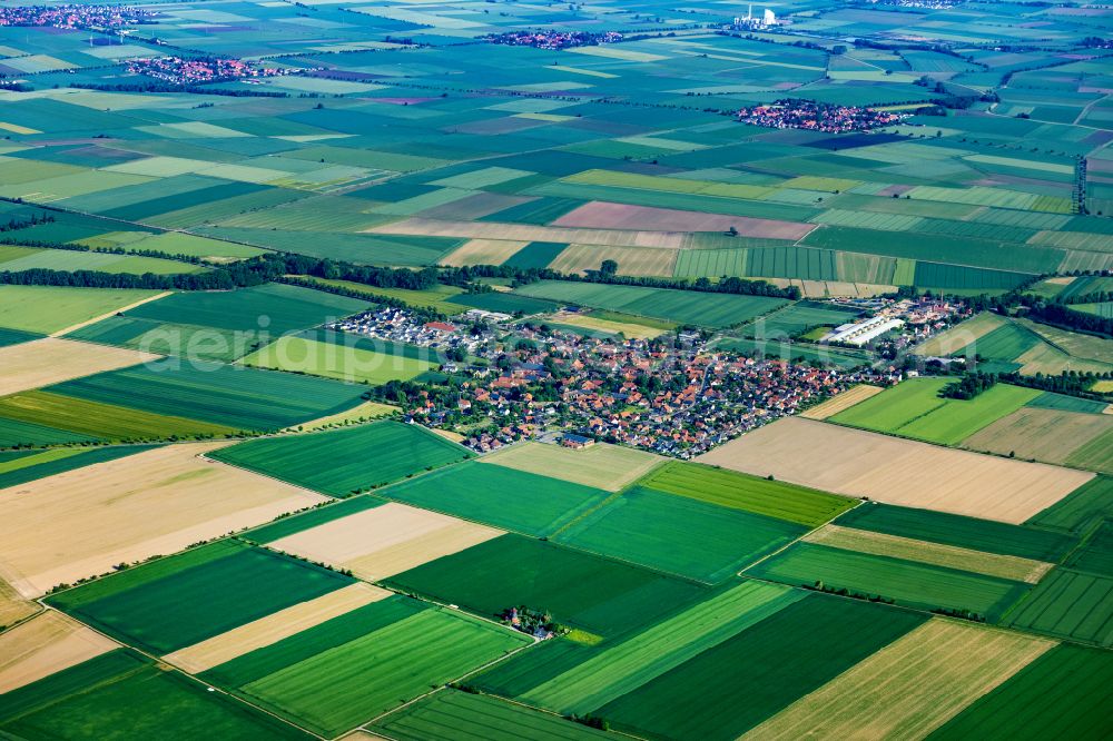 Schellerten from the bird's eye view: Agricultural land and field boundaries surround the settlement area of the village on street Holztrifft in Schellerten in the state Lower Saxony, Germany