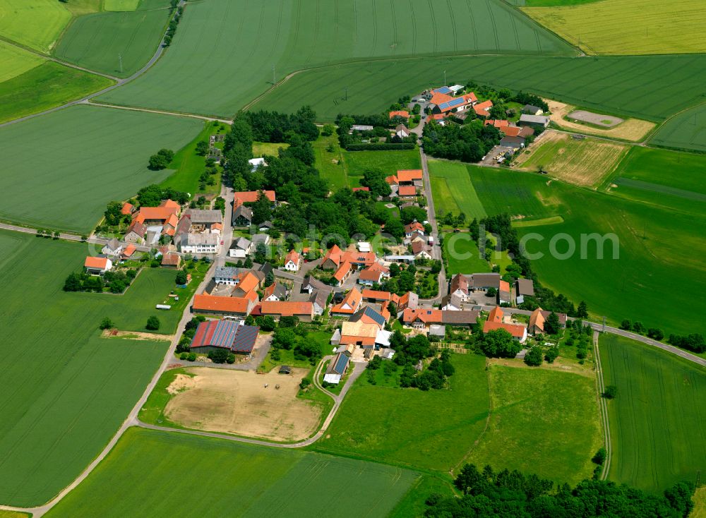 Schmalfelderhof from the bird's eye view: Agricultural land and field boundaries surround the settlement area of the village in Schmalfelderhof in the state Rhineland-Palatinate, Germany