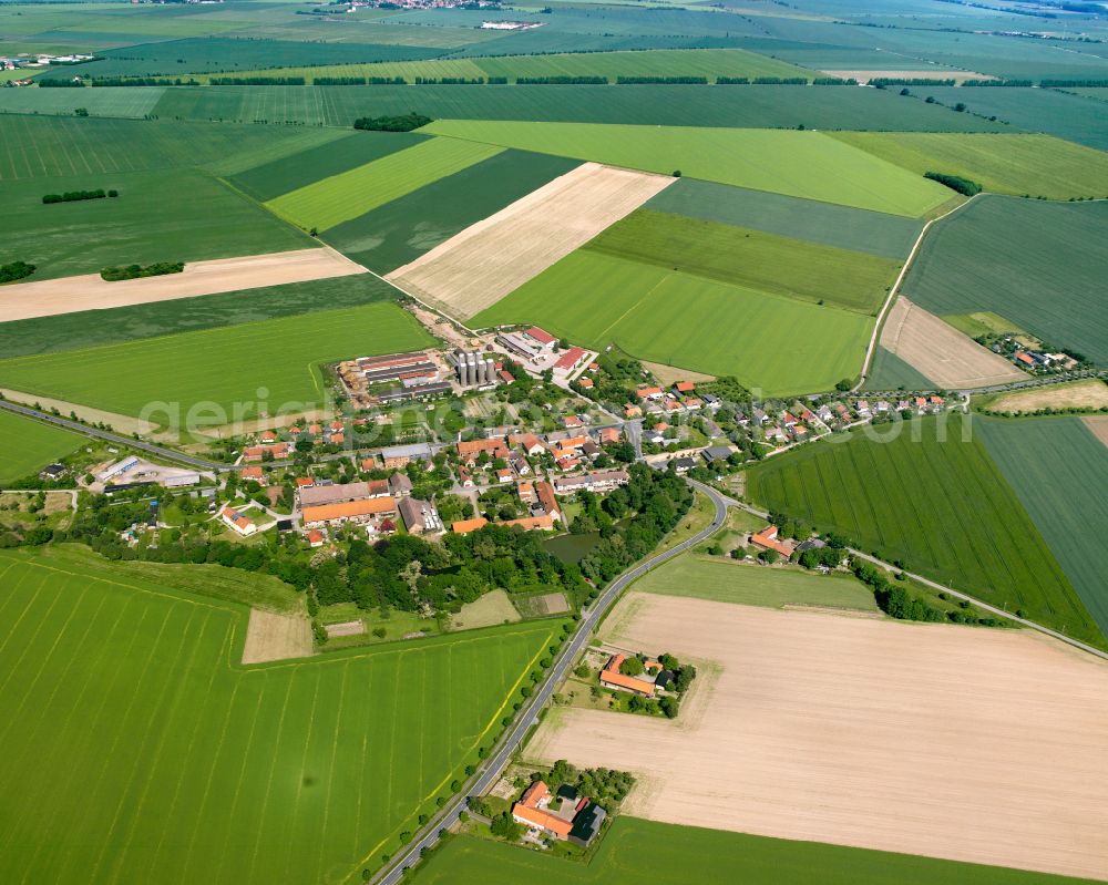 Aerial image Schmatzfeld - Agricultural land and field boundaries surround the settlement area of the village in Schmatzfeld in the state Saxony-Anhalt, Germany