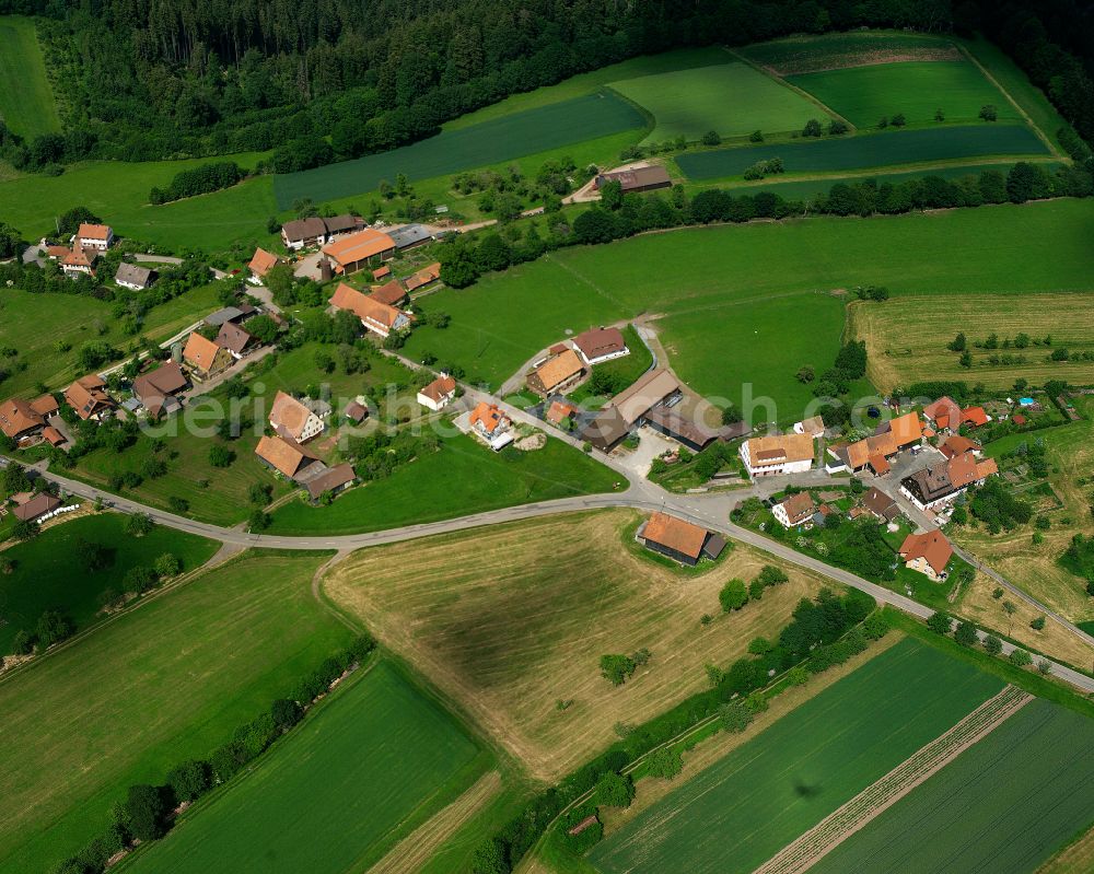 Schmieh from the bird's eye view: Agricultural land and field boundaries surround the settlement area of the village in Schmieh in the state Baden-Wuerttemberg, Germany