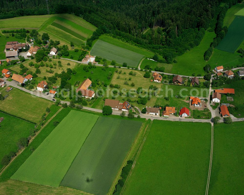 Aerial image Schmieh - Agricultural land and field boundaries surround the settlement area of the village in Schmieh in the state Baden-Wuerttemberg, Germany