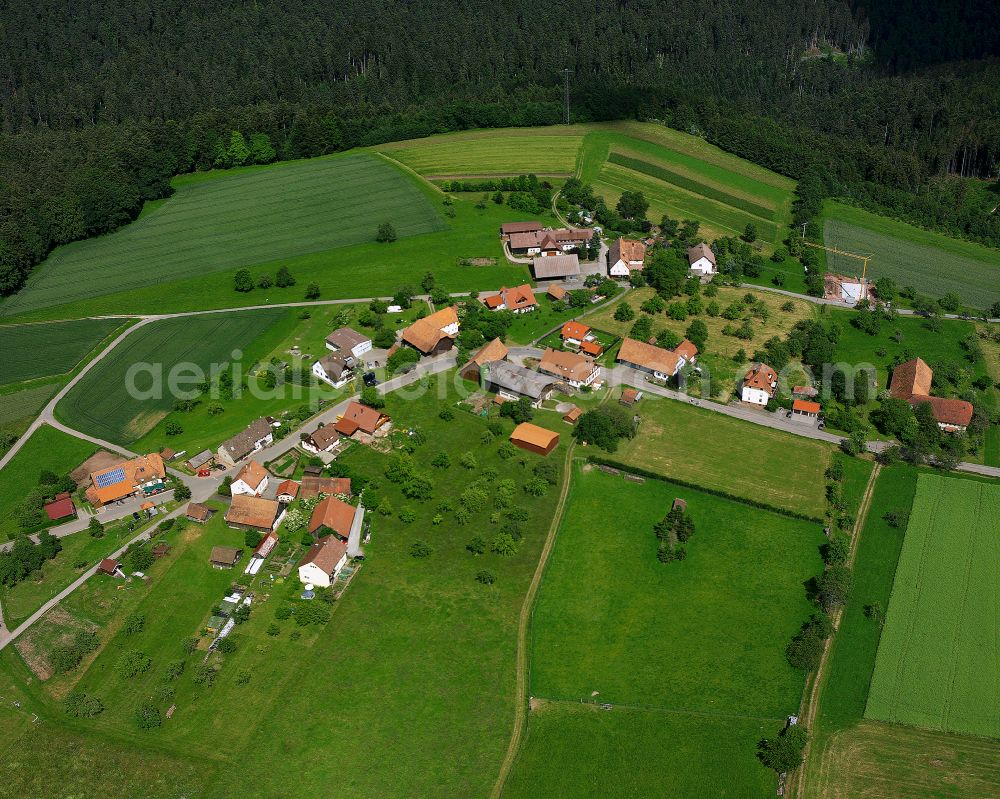 Aerial photograph Schmieh - Agricultural land and field boundaries surround the settlement area of the village in Schmieh in the state Baden-Wuerttemberg, Germany