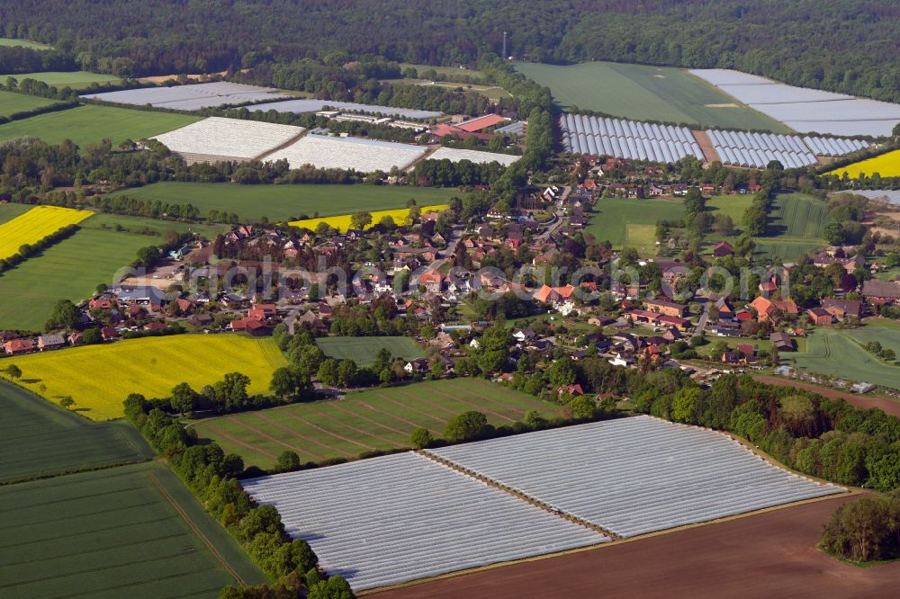 Schmilau from the bird's eye view: Agricultural land and field boundaries surround the settlement area of the village in Schmilau in the state Schleswig-Holstein, Germany