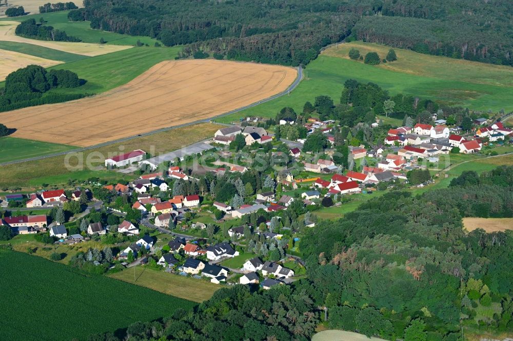 Aerial image Schöna - Agricultural land and field boundaries surround the settlement area of the village in Schoena in the state Saxony, Germany