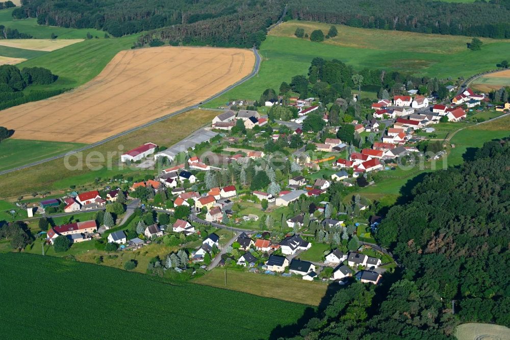 Aerial photograph Schöna - Agricultural land and field boundaries surround the settlement area of the village in Schoena in the state Saxony, Germany