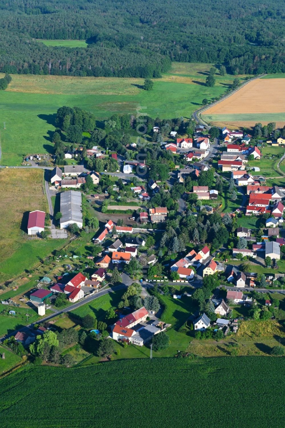 Schöna from the bird's eye view: Agricultural land and field boundaries surround the settlement area of the village in Schoena in the state Saxony, Germany