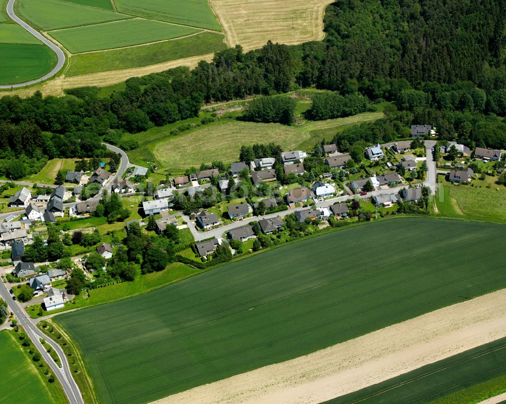 Schnellbach from above - Agricultural land and field boundaries surround the settlement area of the village in Schnellbach in the state Rhineland-Palatinate, Germany