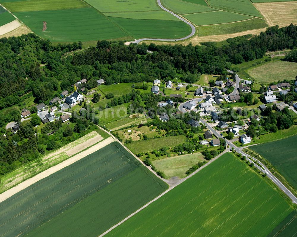 Schnellbach from the bird's eye view: Agricultural land and field boundaries surround the settlement area of the village in Schnellbach in the state Rhineland-Palatinate, Germany