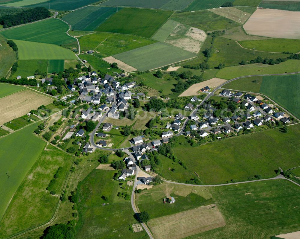 Schnorbach from the bird's eye view: Agricultural land and field boundaries surround the settlement area of the village in Schnorbach in the state Rhineland-Palatinate, Germany