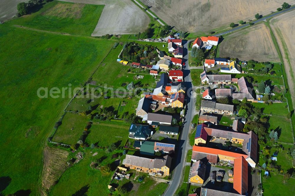 Aerial photograph Scholis - Agricultural land and field boundaries surround the settlement area of the village in Scholis in the state Saxony-Anhalt, Germany