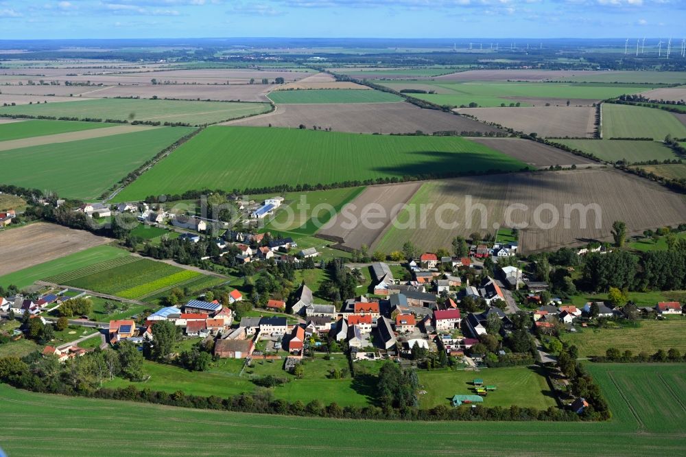 Schora from above - Agricultural land and field boundaries surround the settlement area of the village in Schora in the state Saxony-Anhalt, Germany