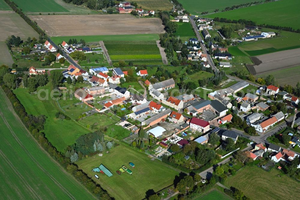 Schora from the bird's eye view: Agricultural land and field boundaries surround the settlement area of the village in Schora in the state Saxony-Anhalt, Germany