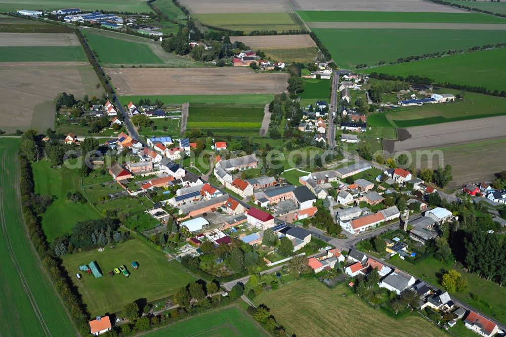 Aerial image Schora - Agricultural land and field boundaries surround the settlement area of the village in Schora in the state Saxony-Anhalt, Germany