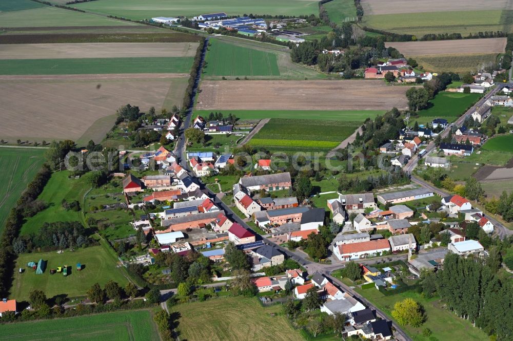 Aerial photograph Schora - Agricultural land and field boundaries surround the settlement area of the village in Schora in the state Saxony-Anhalt, Germany