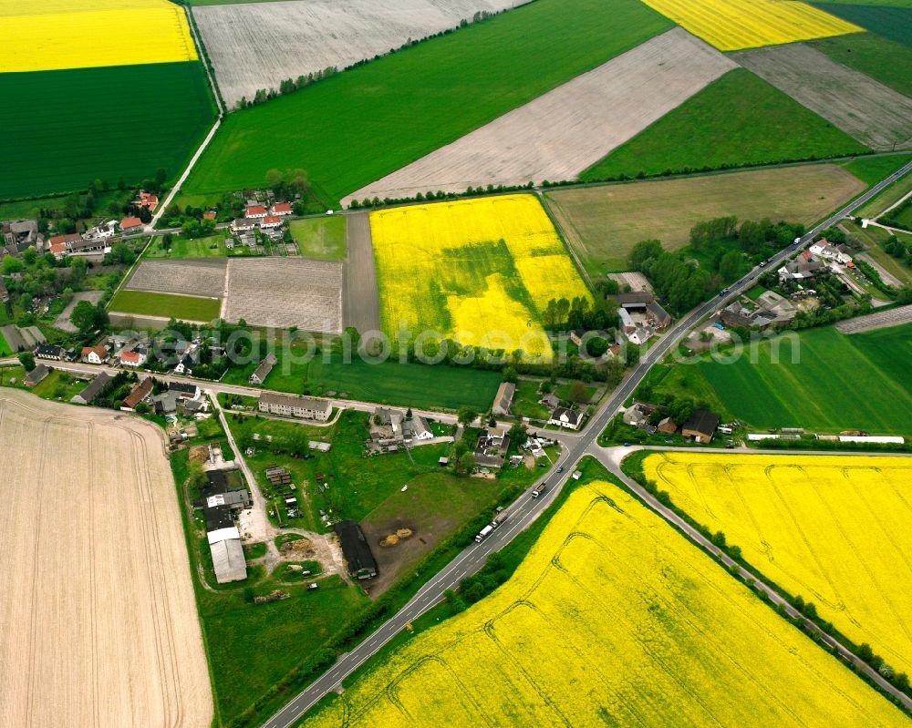 Schora from the bird's eye view: Agricultural land and field boundaries surround the settlement area of the village in Schora in the state Saxony-Anhalt, Germany