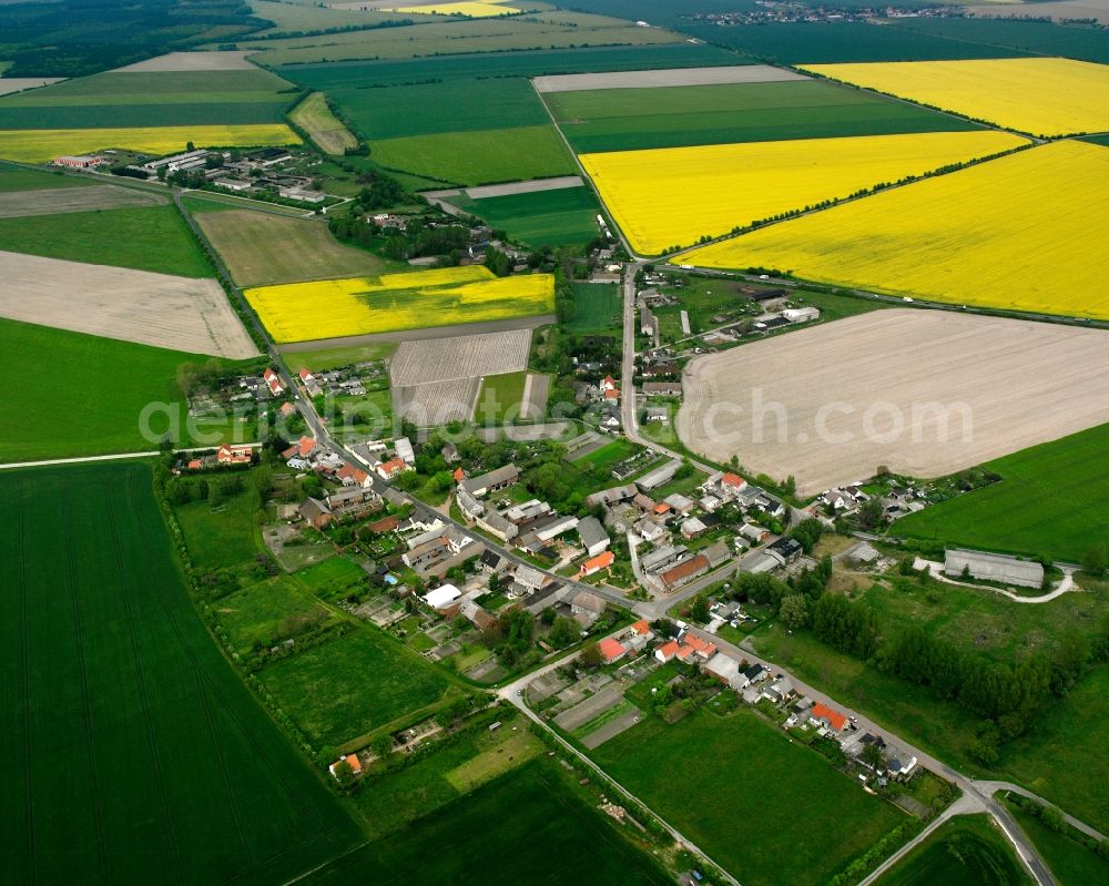 Aerial image Schora - Agricultural land and field boundaries surround the settlement area of the village in Schora in the state Saxony-Anhalt, Germany