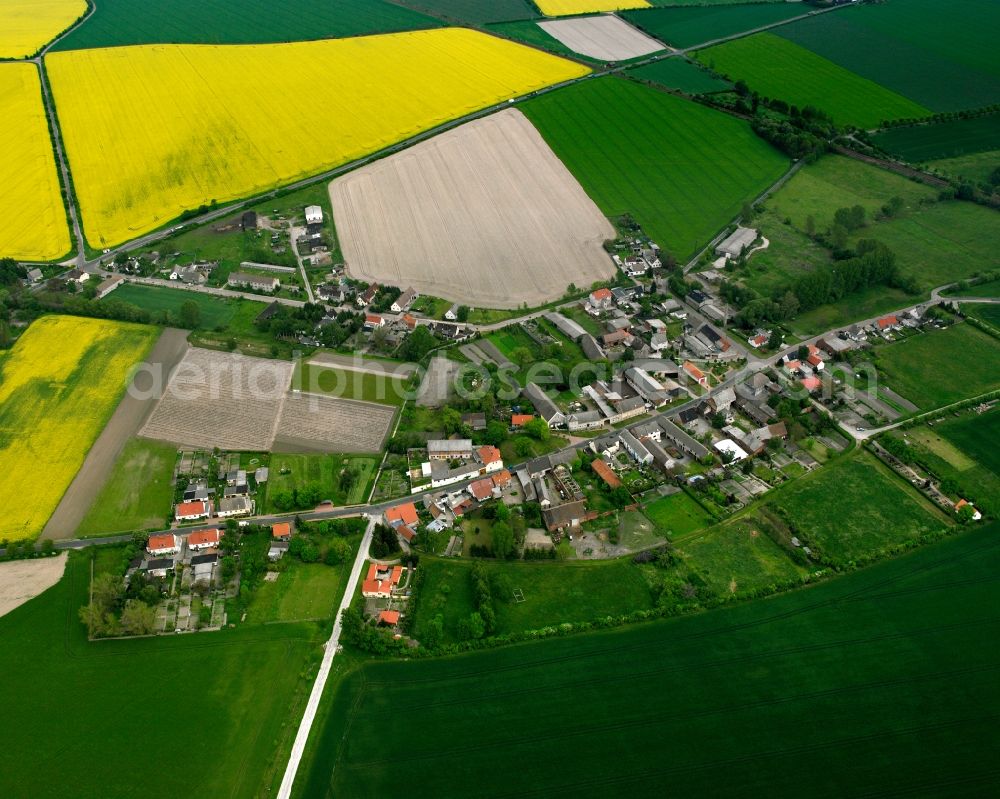 Aerial photograph Schora - Agricultural land and field boundaries surround the settlement area of the village in Schora in the state Saxony-Anhalt, Germany