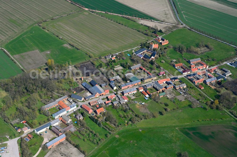 Schäplitz from the bird's eye view: Agricultural land and field boundaries surround the settlement area of the village in Schäplitz in the state Saxony-Anhalt, Germany