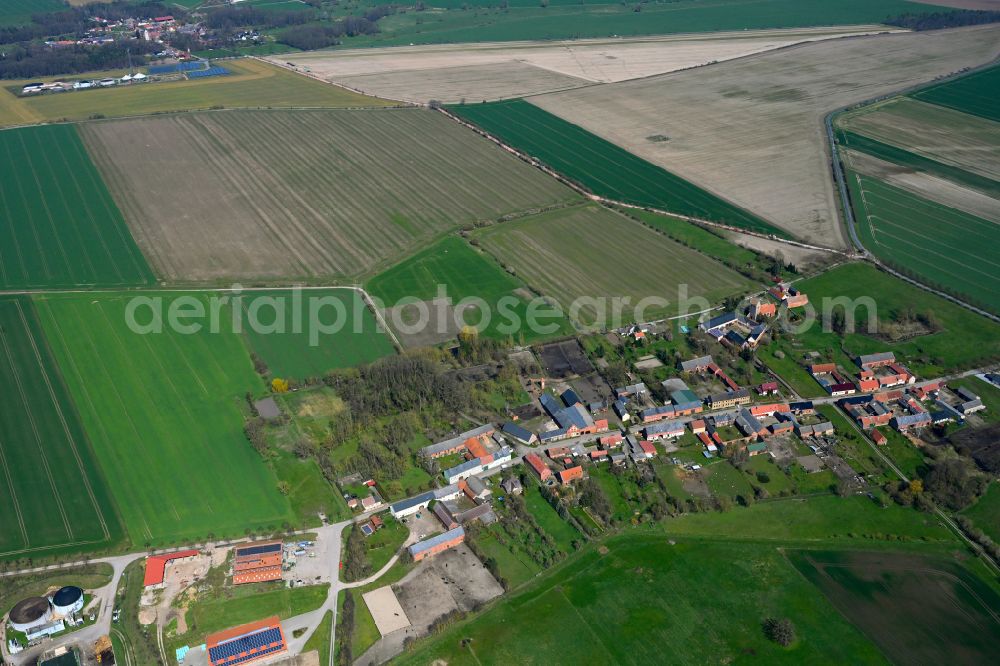 Aerial image Schäplitz - Agricultural land and field boundaries surround the settlement area of the village in Schäplitz in the state Saxony-Anhalt, Germany