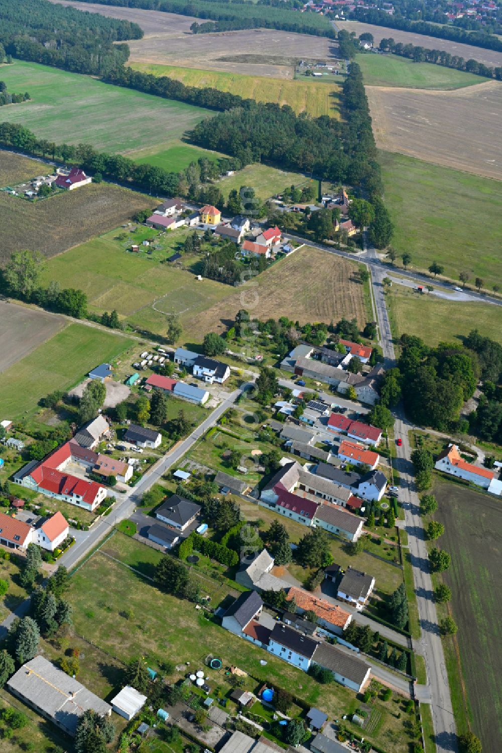 Aerial photograph Schraden - Agricultural land and field boundaries surround the settlement area of the village on street Hauptstrasse in Schraden in the state Brandenburg, Germany