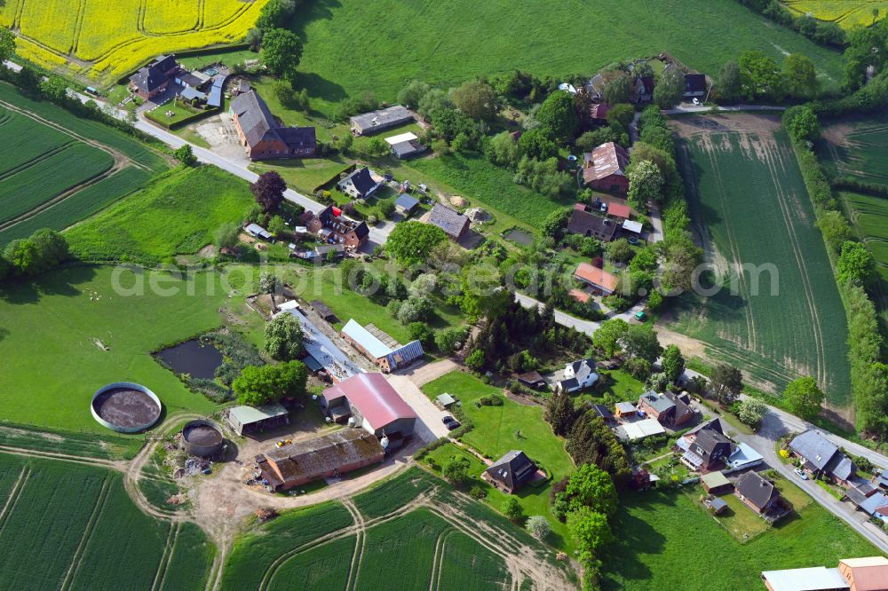 Schulenburg from the bird's eye view: Agricultural land and field boundaries surround the settlement area of the village in Schulenburg in the state Schleswig-Holstein, Germany