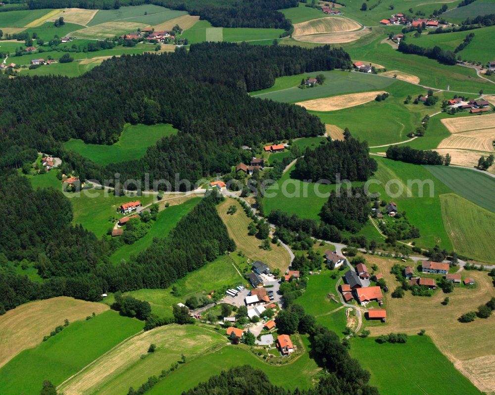 Aerial image Schwarzendachsberg - Agricultural land and field boundaries surround the settlement area of the village in Schwarzendachsberg in the state Bavaria, Germany