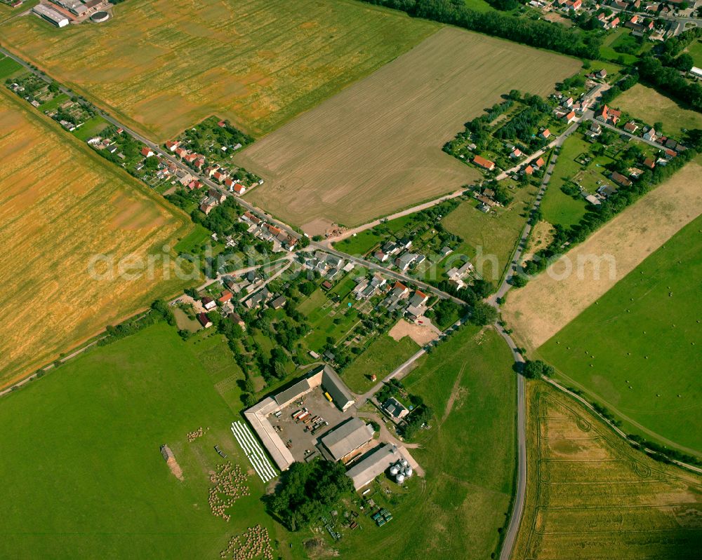 Schwarzroda from the bird's eye view: Agricultural land and field boundaries surround the settlement area of the village in Schwarzroda in the state Saxony, Germany