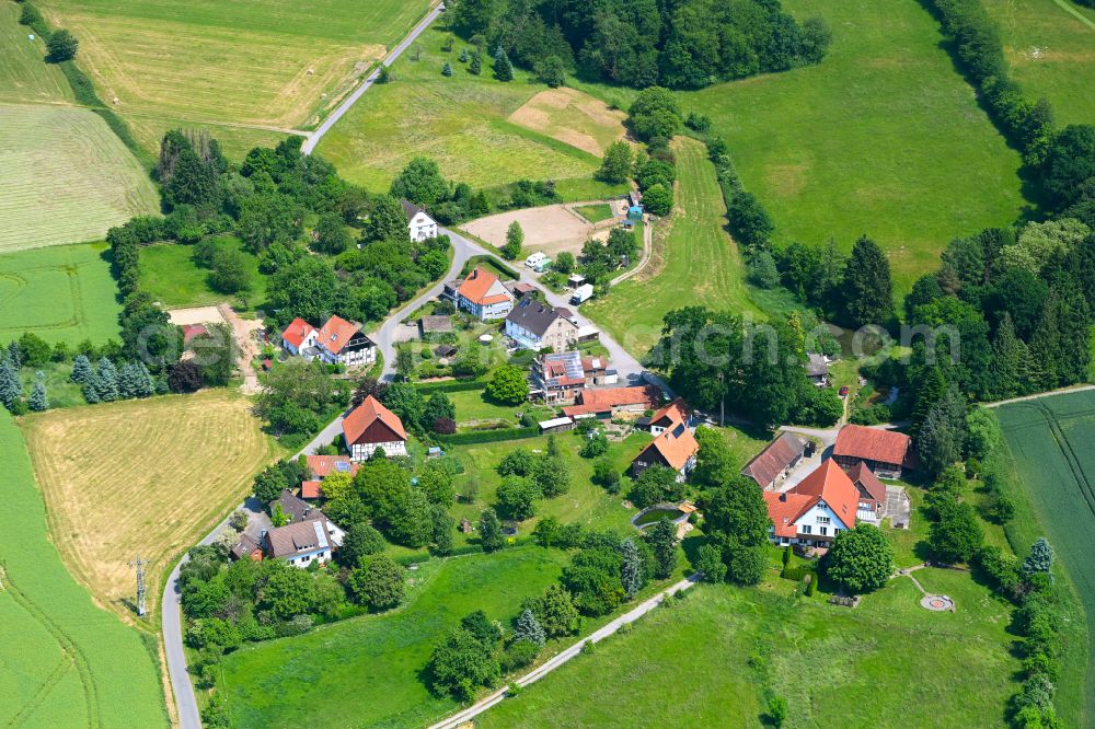 Schwelentrup from above - Agricultural land and field boundaries surround the settlement area of the village in Schwelentrup in the state North Rhine-Westphalia, Germany